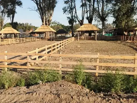 LOTE HARAS TERRAPLEN