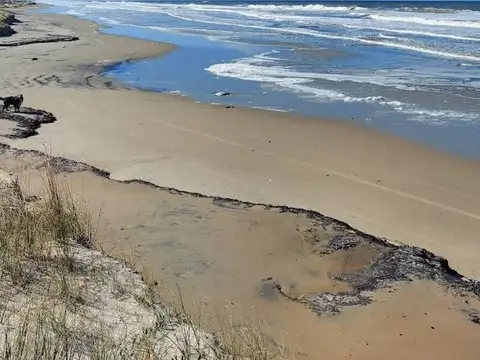 Terreno en Venta en Rio Grande, USD 2.600.000