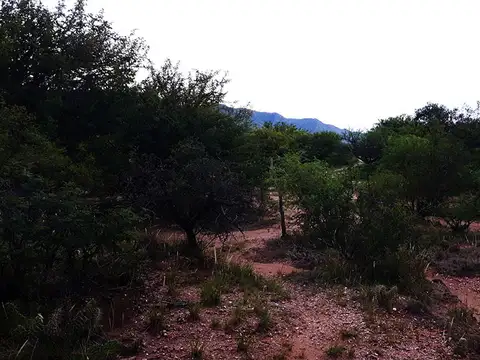 Terreno en Venta de 2500,0 m2