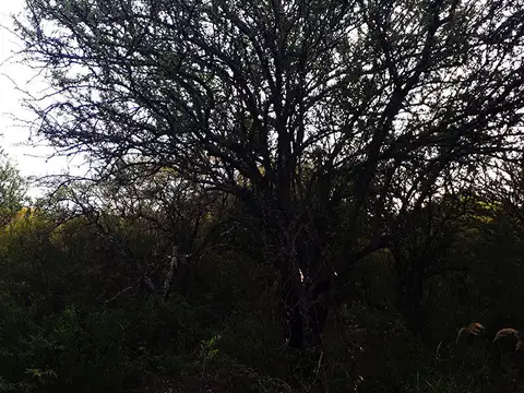 Terreno en Venta en San Marcos Sierra, USD 8.500