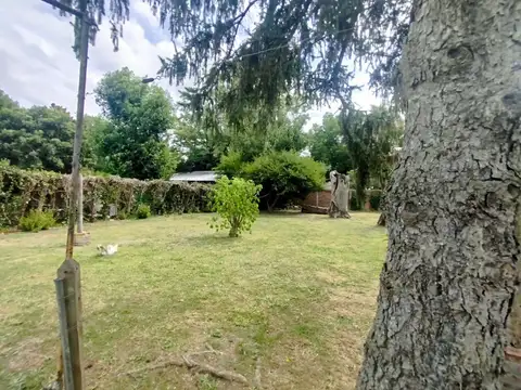 VENTA QUINTA 3 AMBIENTES SAN VICENTE CENTRO 1604M2