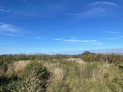 CAMPO EN VENTA EN PERGAMINO SOBRE RUTA N° 178