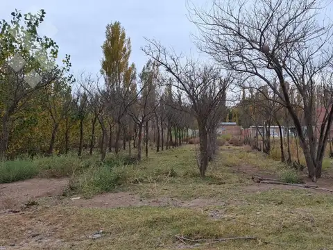 Terreno en Venta en Neuquen, Confluencia