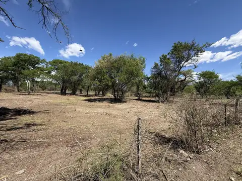 Terreno en Venta de 8000,0 m2