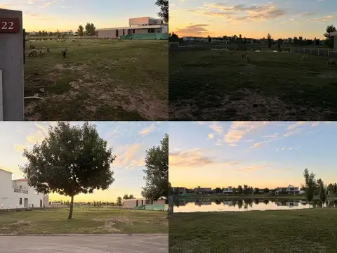 Excelente Lote 32 x 46 - 1212 m² -  Terravista