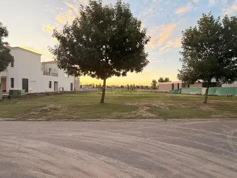 Terreno en Venta 32  mts Frente