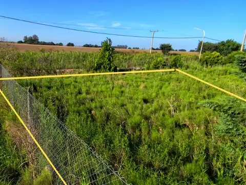 Lavalle, Punta Chacra Zavalla 100