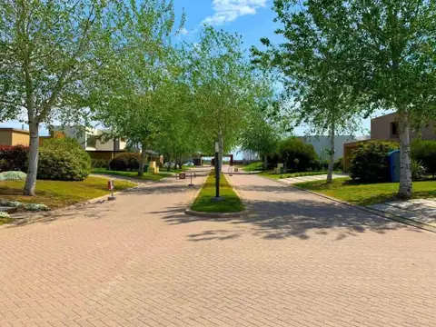 Terreno en Venta 40  mts Fondo