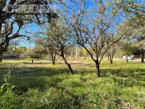 Terreno en Venta 20  mts Fondo
