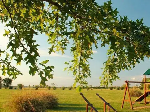 Terreno en Venta de 957,0 m2