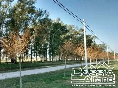 Terreno en Venta de 2250,0 m2
