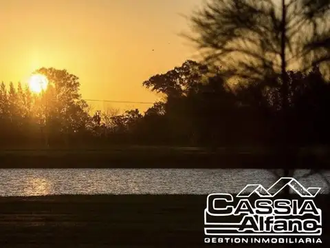 Terreno - Campos de Roca II