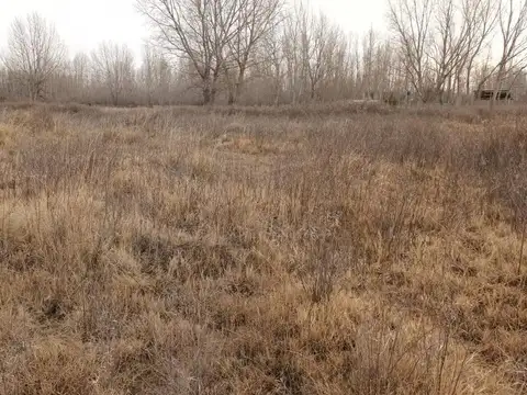 Loteo Los Cisnes, J Figar, Lote 6, Manzana C