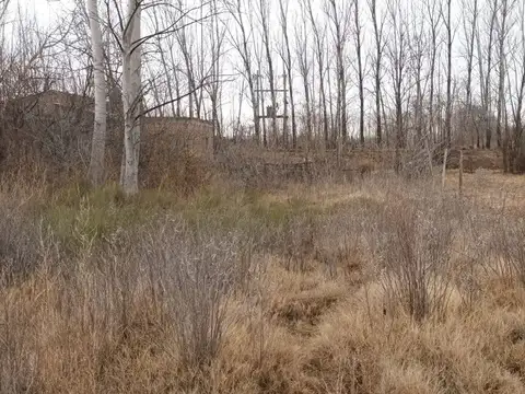 VENTA TERRENO LOTEO LOS CISNES