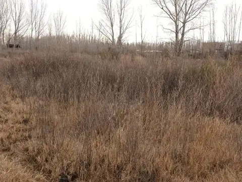 Terreno en Venta en Plottier, USD 22.500