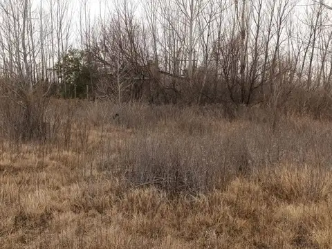 Terreno en Venta de 1000,0 m2