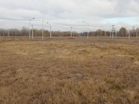 Terreno en Venta en Plottier, USD 22.500