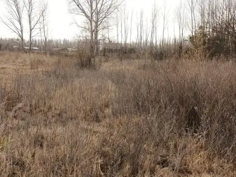 Loteo Los Cisnes, J Figar, Lote 6, Manzana C