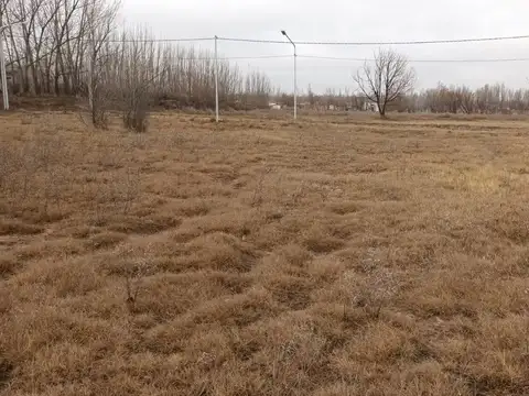 Terreno en Venta de 1000,0 m2