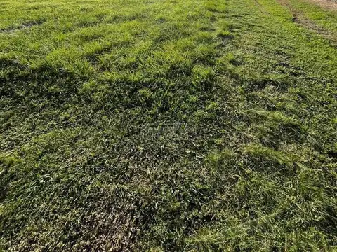 Terreno en Venta en Countries y Barrios Cerrados en Manzanares, USD 35.640