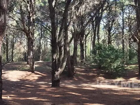 Terrenos en VENTA. COSTA DEL ESTE. LA RESERVA 100m Del Mar. UN LUGAR SOÑADO