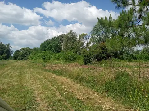 Campo en Venta Chacra