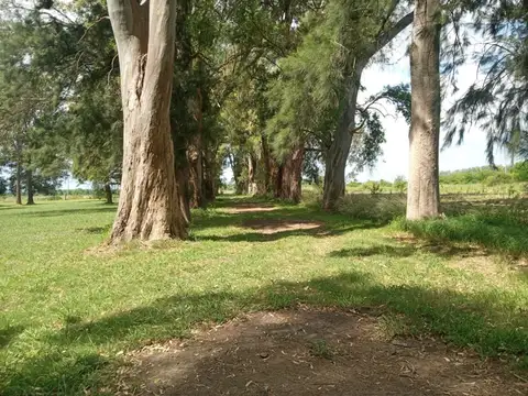 Campo en Venta de 25  ha