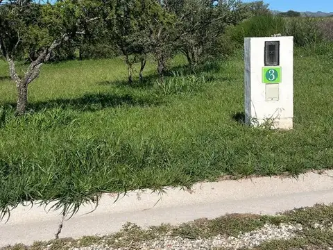 ALTA GRACIA 100