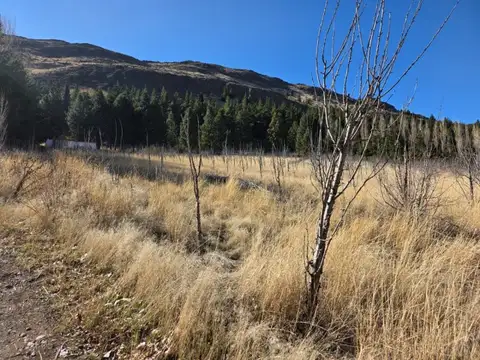 Ruta Nacional Nº 259, km 3,6