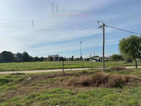 Terreno en Venta 50  mts Frente