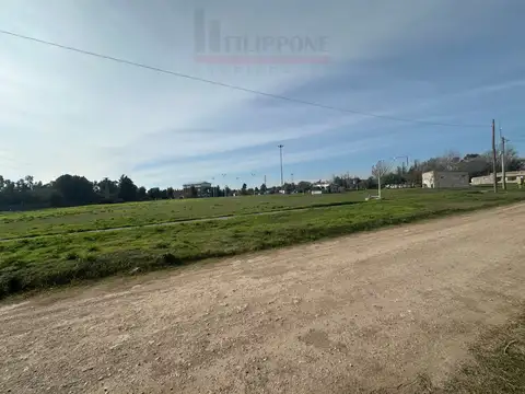 Terreno en Venta 20  mts Fondo