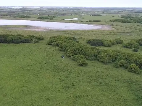 CAMPO EN VENTA       82 HECTAREAS      GRAL JUAN MADARIAGA 