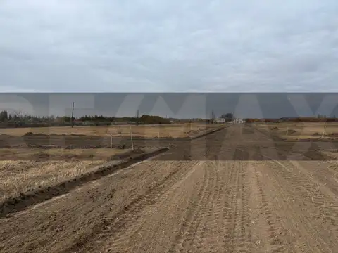 Terreno en Venta en General Roca, USD 21.000