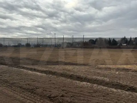 Terreno en Venta en General Roca, USD 21.000