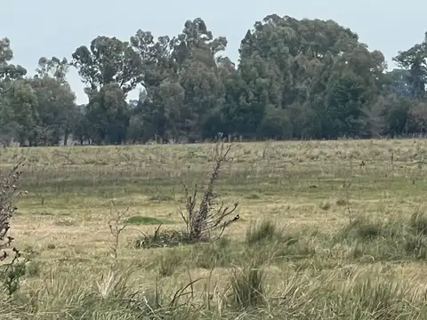 Ruta Provincial 6, San Vicente 100