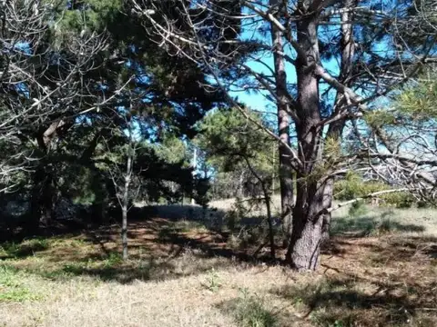 Terreno en Venta de 685,0 m2