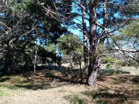 Terreno en Venta de 685,0 m2