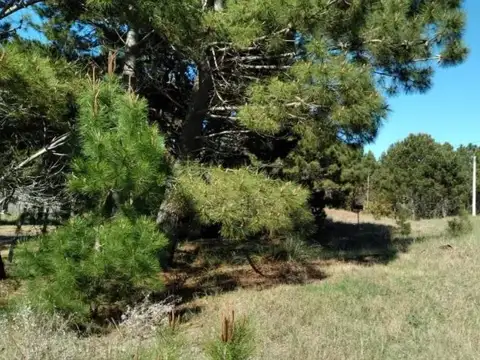 Terreno en Venta en Las Gaviotas, USD 38.000