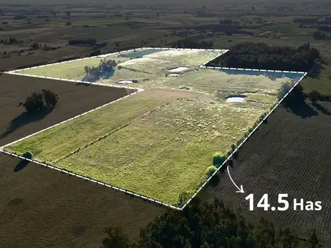 Alquil 14 hectáreas y media de campo San Jacinto