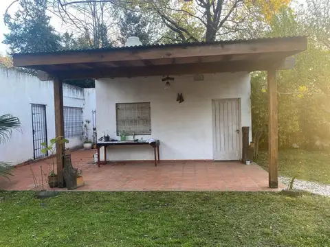 Homero 1300