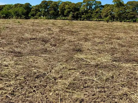 Terreno en Longchamps