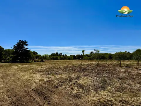 Terreno en Venta 12  mts Frente
