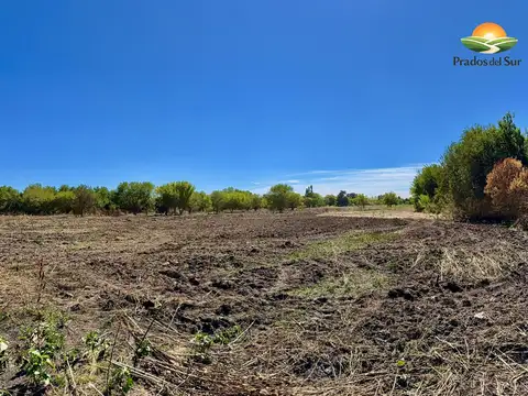 Terreno en Venta de 348,0 m2