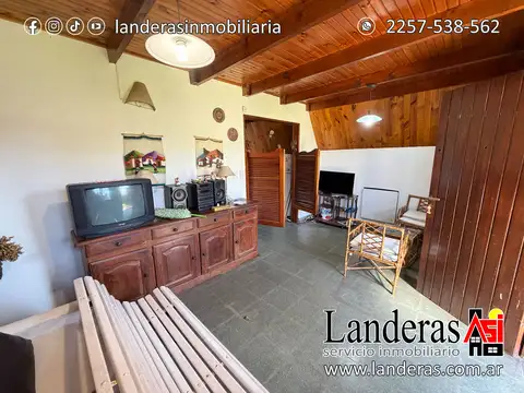 Olmos 100
