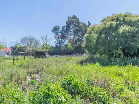 Salinas casi  Luis Alberto de Herrera