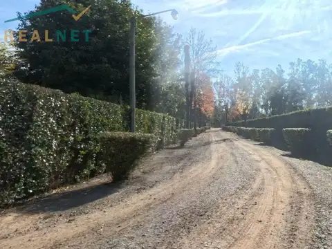Chacra con casa, galpón y casa de huéspedes en Venta - en Suipacha con pileta