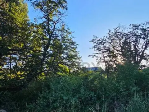 Atahualpa Yupanqui 100, Piso 0