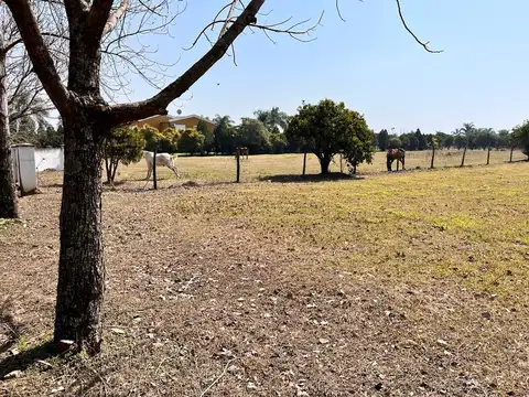 Club de Campo Las Moritas