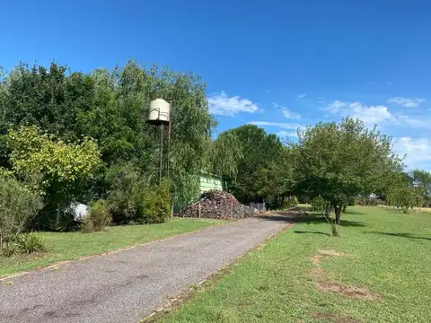 Campo en Venta Agrícola