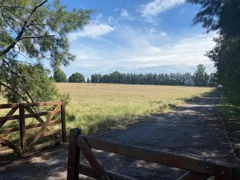 Campo en Venta de 12  ha